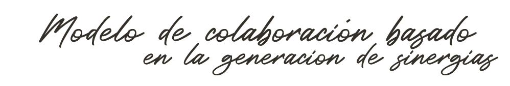 Modelo de colaboraci n basado en la generacion de sinergias
