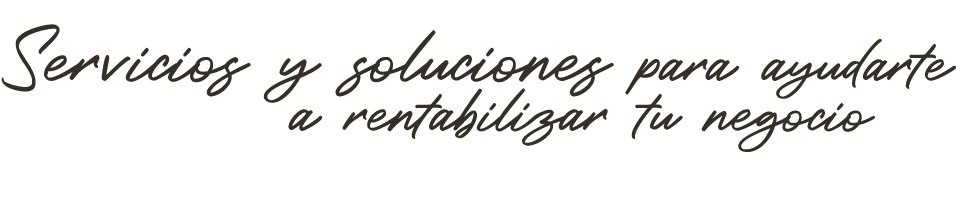 Servicios y soluciones para ayudarte a rentabilizar tu negocio