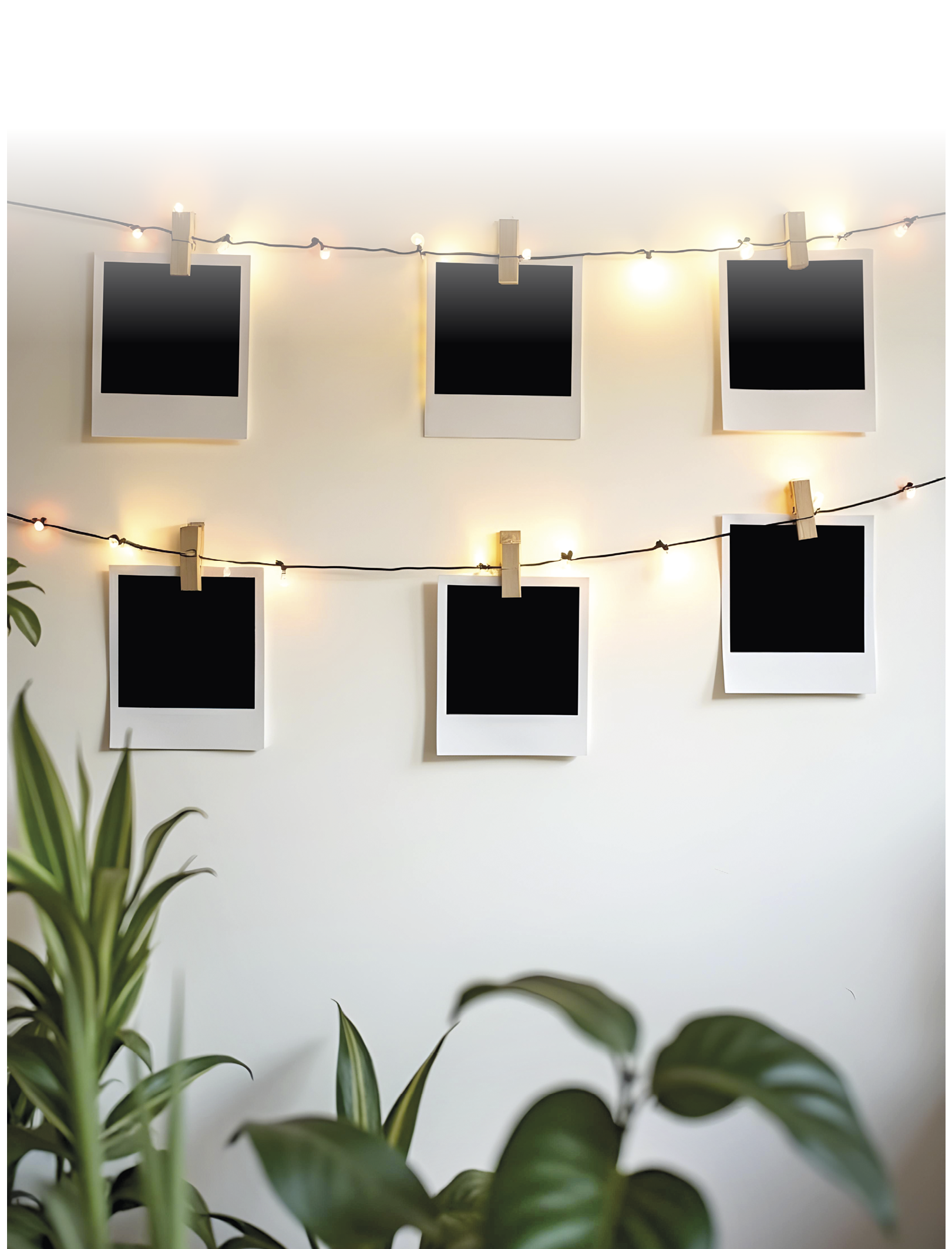 luces 6_imagen completa